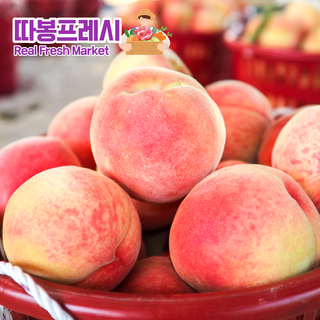 따봉프레시 산지직송 고당도 하우스복숭아, 1개, 1kg