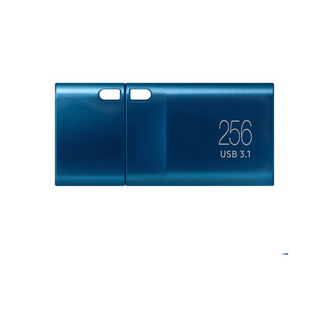 삼성전자 Flash Drive Type C USB 메모리 MUF-64DA/APC, 0.25TB