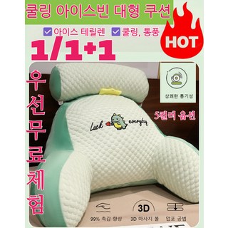 1/1+1쿨링 아이스빈 대형 쿠션 아주 편안한 냉감 쿠션 기온을 내려주는 쿨링 허리받침대 대왕 쿠션 베개