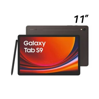 삼성전자 갤럭시탭 S9, 베이지, 128GB, Wi-Fi+Cellular