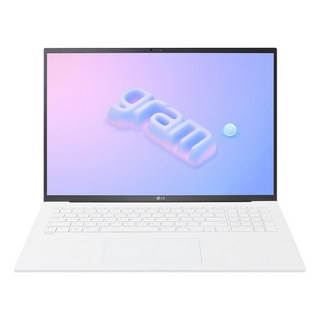 LG전자 그램16 16Z90S-GA5PK