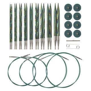 닛픽스 Knit Picks 캐스피언 교체식 롱팁 바늘 Set, 1개