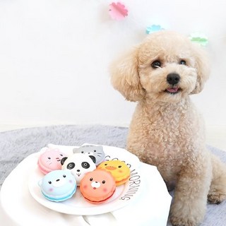 패리스독 애니멀 마카롱 라텍스토이 (디자인/색상 랜덤), 1개