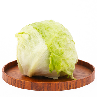친환경 양상추