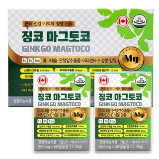 혈행 개선 마그네슘 영양제 징코마그토코 은행잎추출물 토코페롤 피리독신 시아노코발라민, 120정, 1개