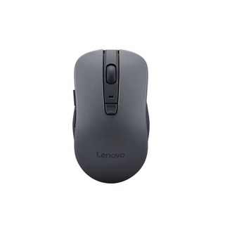 Lenovo Essential USB Mouse