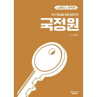 국정원 노베이스 문학편
