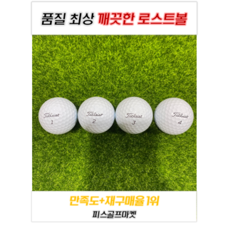 타이틀리스트 A+급 로스트 골프공