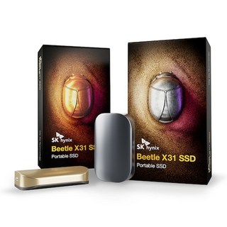 SK하이닉스 Beetle X31 Portable SSD
