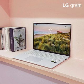 LG전자 그램 17인치 인텔 i5 13세대 윈도우11 16GB 256GB, 17ZD90RU-GX54K, WIN11 Home, 512GB, 화이트