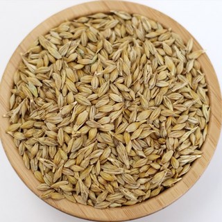 아이앤티 겉보리1kg 국산 햇보리 보리차 새싹보리 엿기름 만들기, 1개, 1kg