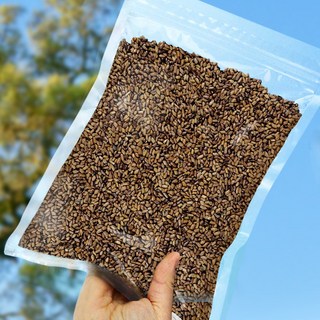 더옹달샘 깨끗하게 볶은 결명자차, 1개, 1개입, 1kg