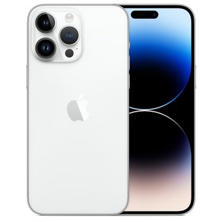 Apple 정품 아이폰 14 Pro Max 자급제, 실버, 256GB