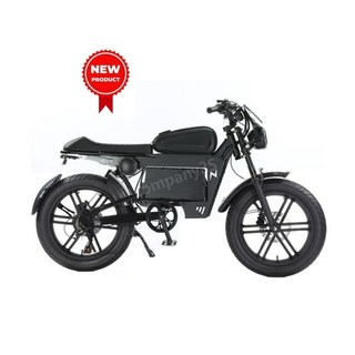 1. 고출력 전기자전..