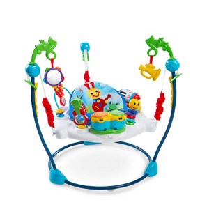 베이비 아인슈타인 점퍼루 네이버후드 심포니 액티비티 Baby Einstein Neighborhood Symphony Activity Jumper with Lights, 1개