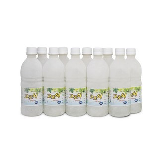 냉동 지리산 고로쇠 수액 고로쇠물, 10개, 500ml