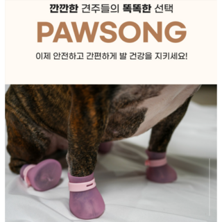 안전하고 간편한 강아지 발사탕 발상처 습진케어 포송이