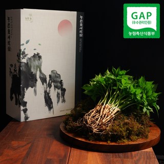 농림식품부 공식선정 청년농부 GAP인증 농원솔 새싹삼 선물용/가정용/식당용, (선물용) 수묵화 고급 하드커버 선물 포장, 1박스, 중 50 뿌리