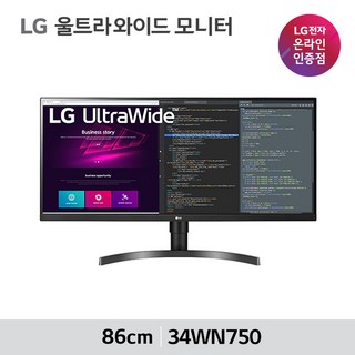 LG 34WN750 34인치 모니터