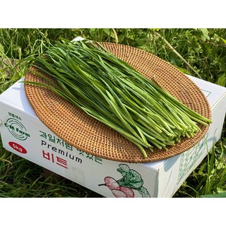 [산지직송] 경기도 이천 국내산 100% 당일수확 영양만점 부추/GAP인증/무료배송, 1개, 1kg