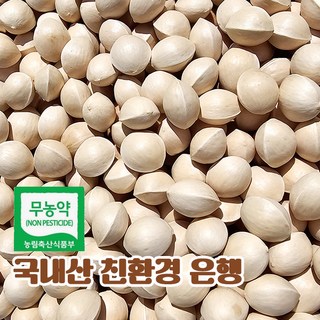 국산 피은행 은행 열매 중 사이즈 생 은행 알, 1개, 3kg