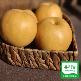 고당도 유기농배 학교급식납품 산지직송 7.5kg (선물용/못난이/대과/중과), 7.5kg(못난이/소과/16-22입), 1개
