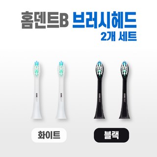 홈덴트B 음파 전동 칫솔