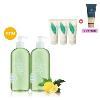 엘리자베스아덴 그린티 향수 세트