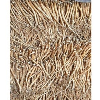 인삼 금산인삼 수삼 100-120 뿌리 삼계탕 용인삼업소용 삼계탕인삼 햇인삼 삼계탕재료 금산인삼직거래, 750g 80-100뿌리 (세척 X ), 1개