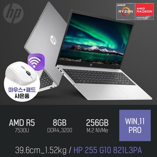 HP 노트북 255 G10-821L3PA