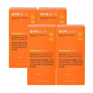 데이팩 올인원 하루 한포 멀티비타민, 15회분, 31.65g, 4개
