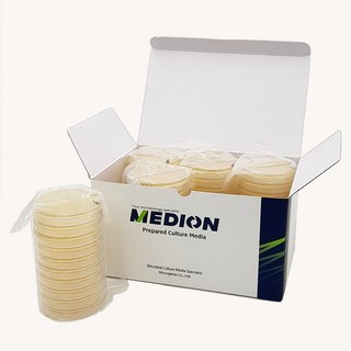 [MEDION]메디온 식품공전 효모/진균/곰팡이 생배지 Potato Dextrose Agar(PDA) 20plate