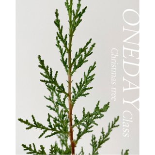 크리스마스 원데이클래스 트리 리스 노원 공릉 태릉입구 가드닝클래스, 3.생화리스, 1개