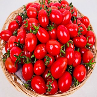 농부곳간 대추 방울토마토, 2kg(4-5번과 소과), 1개