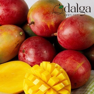 달가 항공 직수입 고당도 달콤 쫀득 브라질 애플망고, 1개, 애플망고 1kg(2-3입)