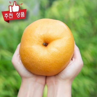 풍부한 과즙 시원한 건강 간식 국내산 고당도 가정용 신고배 나주배 햇배, 2개, 대과