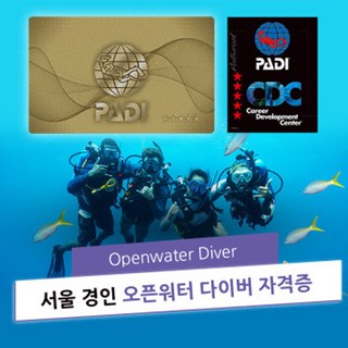 서울 경인 오픈워터 PADI 다이버 자격증 다이빙 교육 라이센스 OpenWater Diver