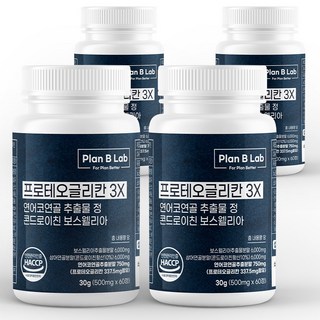 플랜비랩 프로테오글리칸 3X 연어코연골 추출물 750mg 콘드로이친 보스웰리아, 4개, 60정