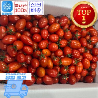 믿고마트 대추방울토마토 당일수확, 1박스, (대추방울 토마토 1-2번 다마) 5kg