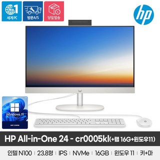 HP 2024 올인원 24 N-시리즈 인텔 12세대, 256GB, 16GB, WIN11 Pro