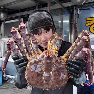 킹콩농수산 특A급 수율90%이상 활 브라운킹크랩, 1개, 1.8Kg 내외(생물)