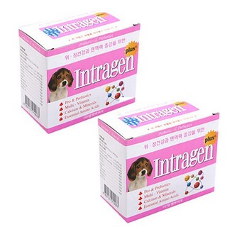 인트라젠 플러스 반려동물 영양제, 30회분, 장건강/유산균, 2개