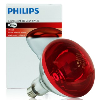 필립스 의료용 적외선 램프 전구 IR250W (BR125), BR125, 1개