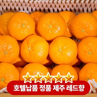 호텔납품 최상급 고당도 제주도 레드향 선물세트 가정용, 1박스, 4.5kg 가정용(중과 22내외)
