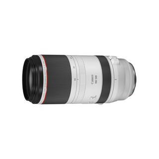 캐논 RF 100-500mm 사용 모습