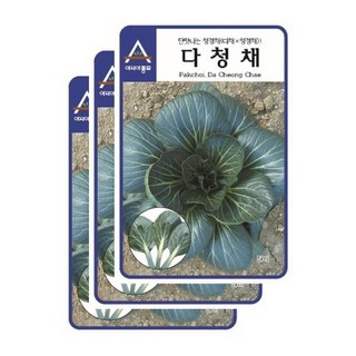 채소씨앗 - 청경채씨앗 다청채(3gx3) S2439, 3개