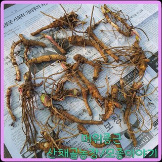 쉽고 간편한 새싹채소 머위 모종 – 머위종근/머위뿌리분얼 30개 세트 쉽고 간편한 새싹채소 머위 모종 – 머위종근/머위뿌리분얼 30개 세트