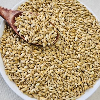 영원농산 25년 햇보리 국산 햇 겉보리 엿질금 새싹보리, 1kg, 1개
