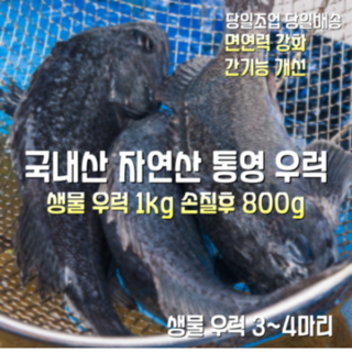 [산지직송] 국내산 자연산 통영 새벽조업후 바로손질 생물 활 우럭 1kg 깨끗하게 손질후 800g 3~4마리 구이.조림.회가능, 1박스, 생물 활 우럭 1kg 손질후 800g 3~4마리