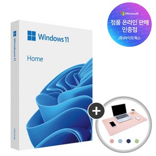 한국 마이크로소프트 윈도우11 홈 FPP Windows11 Home 처음사용자용 USB HAJ-00095
